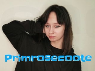Primrosecoote