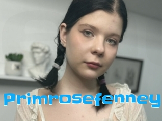 Primrosefenney
