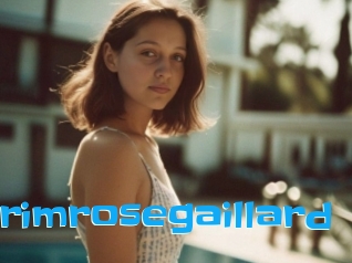 Primrosegaillard
