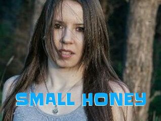 SMALL_HONEY