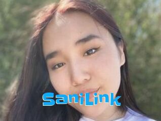 SaniLink