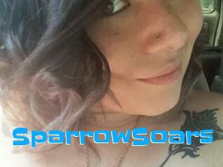SparrowSoars