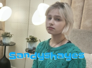 Sandyshayes