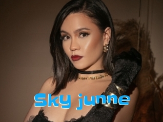 Sky_junne