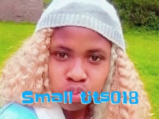 Small_tits018