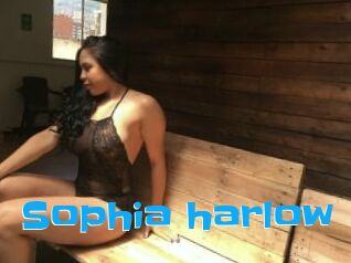Sophia_harlow