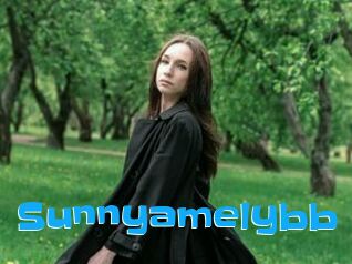 Sunnyamelybb