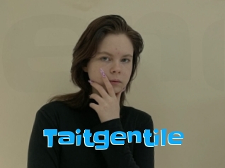 Taitgentile
