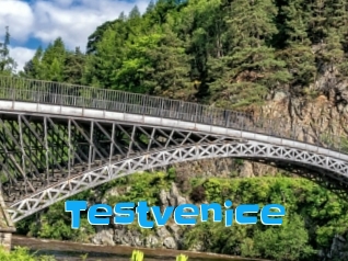 Testvenice