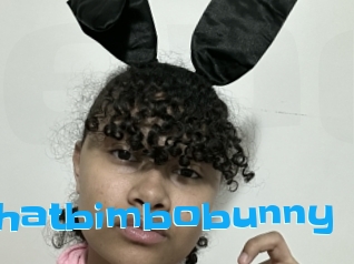 Thatbimbobunny