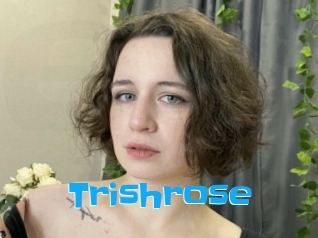 Trishrose