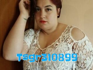 Tsgr310899
