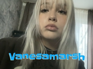 Vanesamarsh