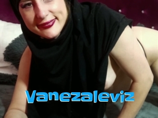Vanezaleviz
