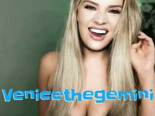 Venicethegemini