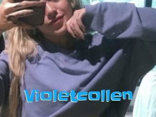 Violetcollen