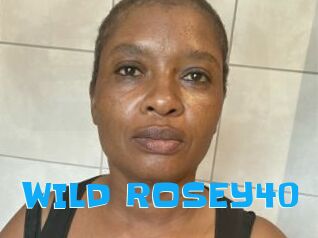 WILD_ROSEY40
