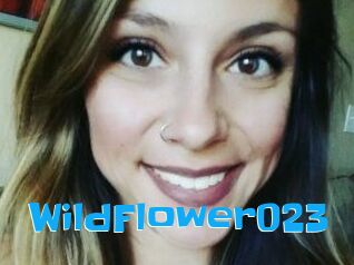 WildFlower023