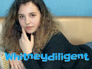 Whitneydiligent