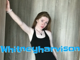 Whitneyharvison