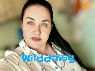 Wilddaisy