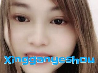 Xingganyeshou
