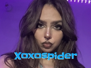 Xoxospider