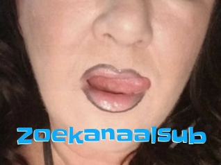 Zoekanaalsub